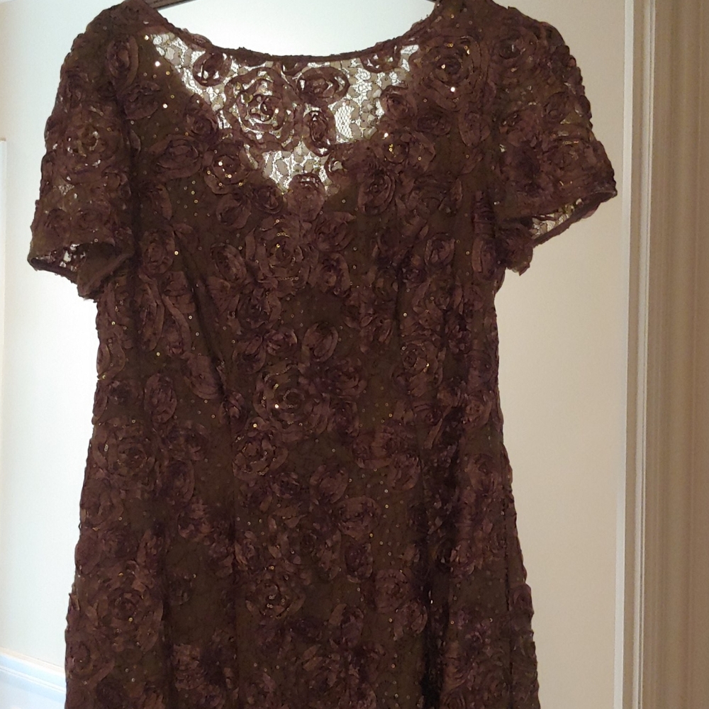 Alex Evening bronze long evening dress